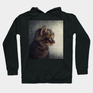 little tomcat Hoodie